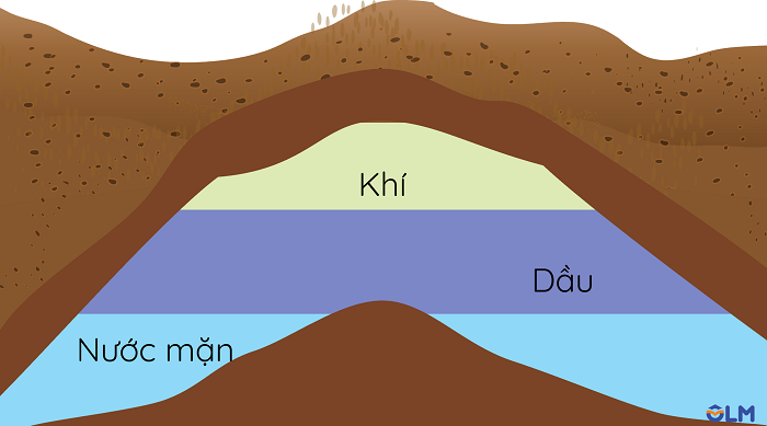 Sơ đồ cấu tạo mỏ dầu, olm